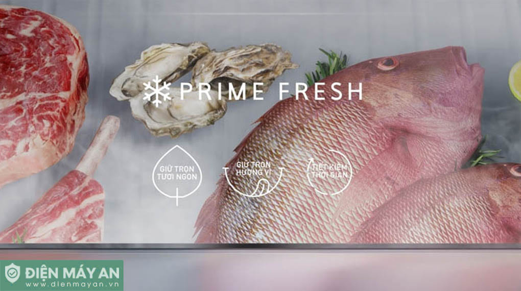 Tủ Lạnh Panasonic Inverter 300 Lít NR-BV331BPKV